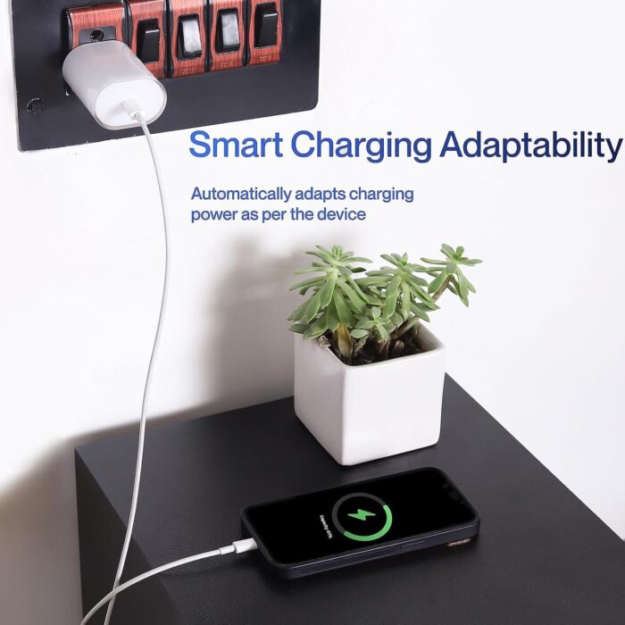 SUSNWERE Original Charger for Nothing Phone 2A | 1 | Phone 2A Plus | Phone 2 | CMF 1 with C to C Cable 65Watts - Image 8